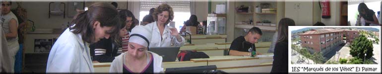 Nuestras Investigaciones